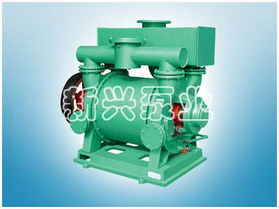 2BE型水環(huán)式真空泵