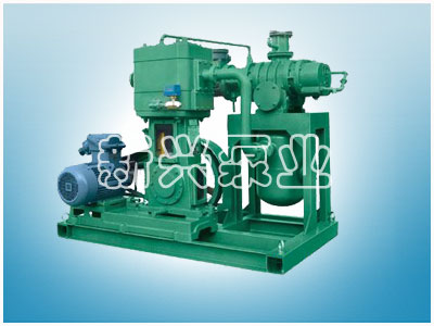 JZJW型羅茨-立式無油往復泵機組